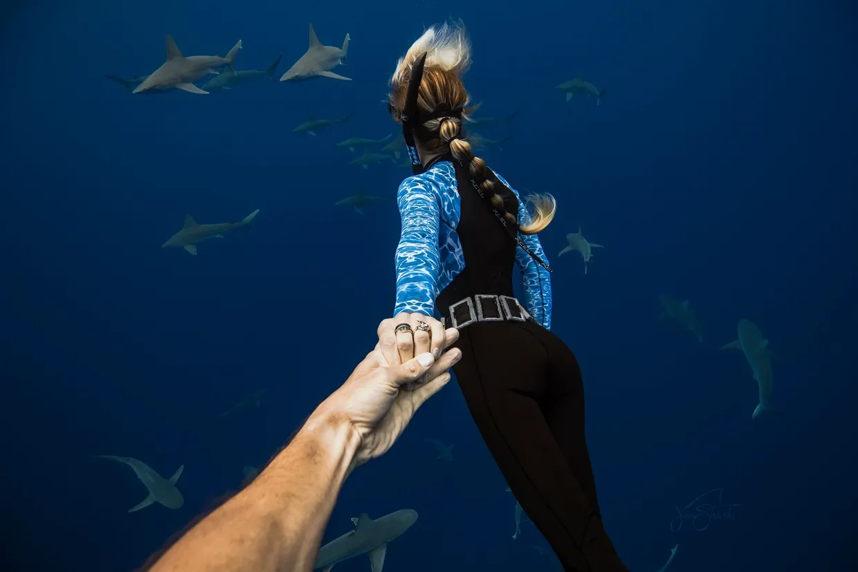 swimming with sharks in Hawaii